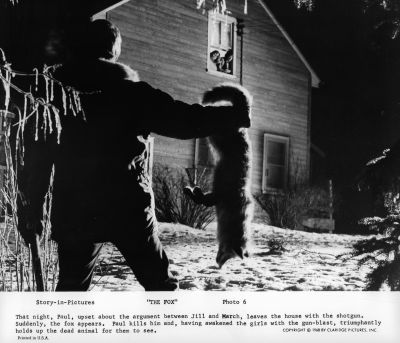 THE_FOX_-_STILLS_003.jpg