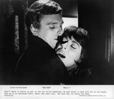 THE_FOX_-_STILLS_004.jpg