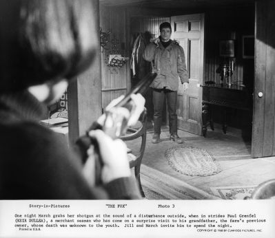 THE_FOX_-_STILLS_005.jpg