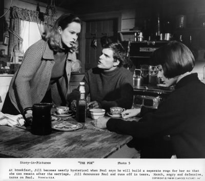 THE_FOX_-_STILLS_006.jpg