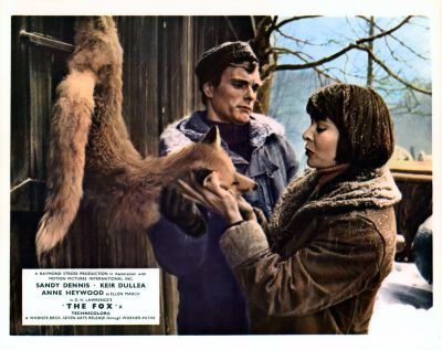 THE_FOX_-_STILLS_010.jpg