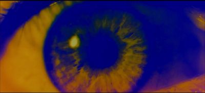 2001_A_SPACE_ODYSSEY_2262.jpg