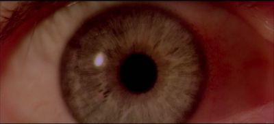 2001_A_SPACE_ODYSSEY_2264.jpg