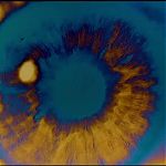 2001_A_SPACE_ODYSSEY_2257.jpg