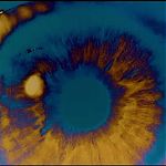 2001_A_SPACE_ODYSSEY_2258.jpg
