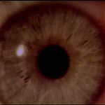 2001_A_SPACE_ODYSSEY_2264.jpg