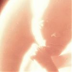 2001_A_SPACE_ODYSSEY_-_STILLS_024.jpg