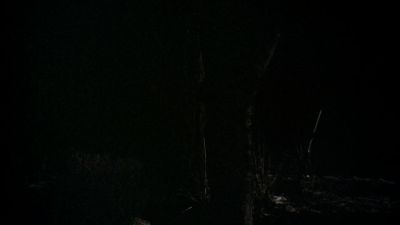 BLACK_CHRISTMAS_HD_1370.jpg