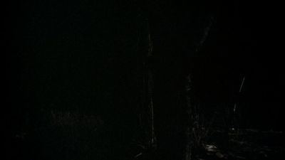 BLACK_CHRISTMAS_HD_1372.jpg