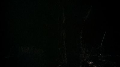 BLACK_CHRISTMAS_HD_1373.jpg