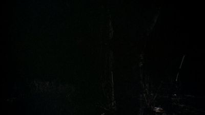 BLACK_CHRISTMAS_HD_1374.jpg