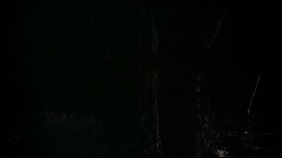 BLACK_CHRISTMAS_HD_1375.jpg
