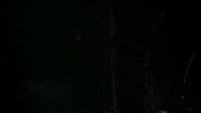 BLACK_CHRISTMAS_HD_1377.jpg
