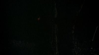 BLACK_CHRISTMAS_HD_1378.jpg