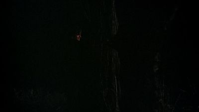 BLACK_CHRISTMAS_HD_1382.jpg