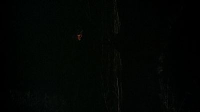 BLACK_CHRISTMAS_HD_1384.jpg