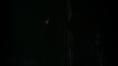 BLACK_CHRISTMAS_HD_1386.jpg