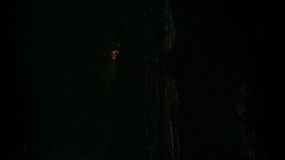 BLACK_CHRISTMAS_HD_1388.jpg