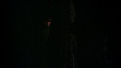 BLACK_CHRISTMAS_HD_1390.jpg