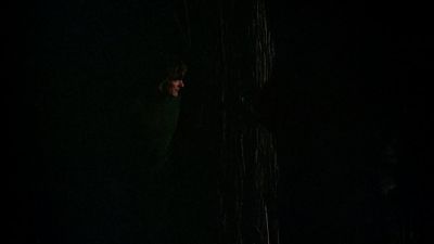 BLACK_CHRISTMAS_HD_1392.jpg
