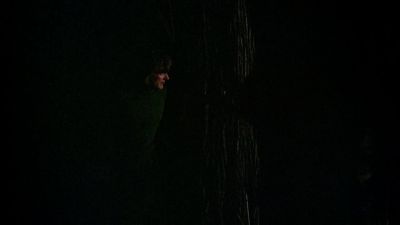 BLACK_CHRISTMAS_HD_1393.jpg