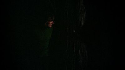 BLACK_CHRISTMAS_HD_1397.jpg