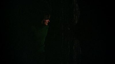BLACK_CHRISTMAS_HD_1398.jpg