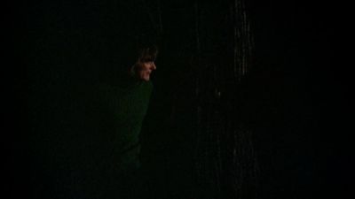 BLACK_CHRISTMAS_HD_1401.jpg