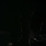 BLACK_CHRISTMAS_HD_1368.jpg
