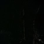 BLACK_CHRISTMAS_HD_1371.jpg