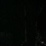 BLACK_CHRISTMAS_HD_1372.jpg