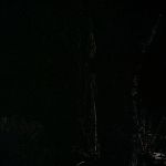 BLACK_CHRISTMAS_HD_1373.jpg