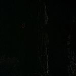 BLACK_CHRISTMAS_HD_1377.jpg