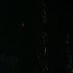 BLACK_CHRISTMAS_HD_1378.jpg