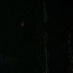 BLACK_CHRISTMAS_HD_1379.jpg