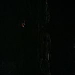 BLACK_CHRISTMAS_HD_1382.jpg