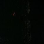 BLACK_CHRISTMAS_HD_1384.jpg