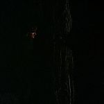BLACK_CHRISTMAS_HD_1386.jpg