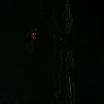 BLACK_CHRISTMAS_HD_1387.jpg