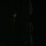 BLACK_CHRISTMAS_HD_1388.jpg