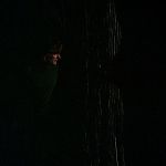 BLACK_CHRISTMAS_HD_1391.jpg