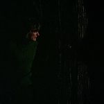 BLACK_CHRISTMAS_HD_1398.jpg