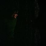 BLACK_CHRISTMAS_HD_1399.jpg