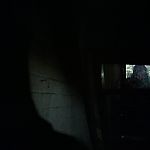 BLACK_CHRISTMAS_HD_1474.jpg