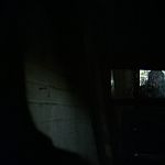 BLACK_CHRISTMAS_HD_1476.jpg
