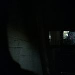 BLACK_CHRISTMAS_HD_1478.jpg