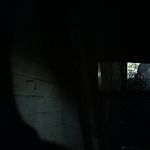 BLACK_CHRISTMAS_HD_1479.jpg