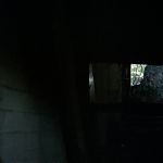BLACK_CHRISTMAS_HD_1485.jpg