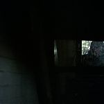 BLACK_CHRISTMAS_HD_1486.jpg