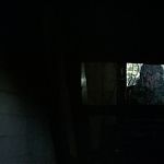 BLACK_CHRISTMAS_HD_1487.jpg